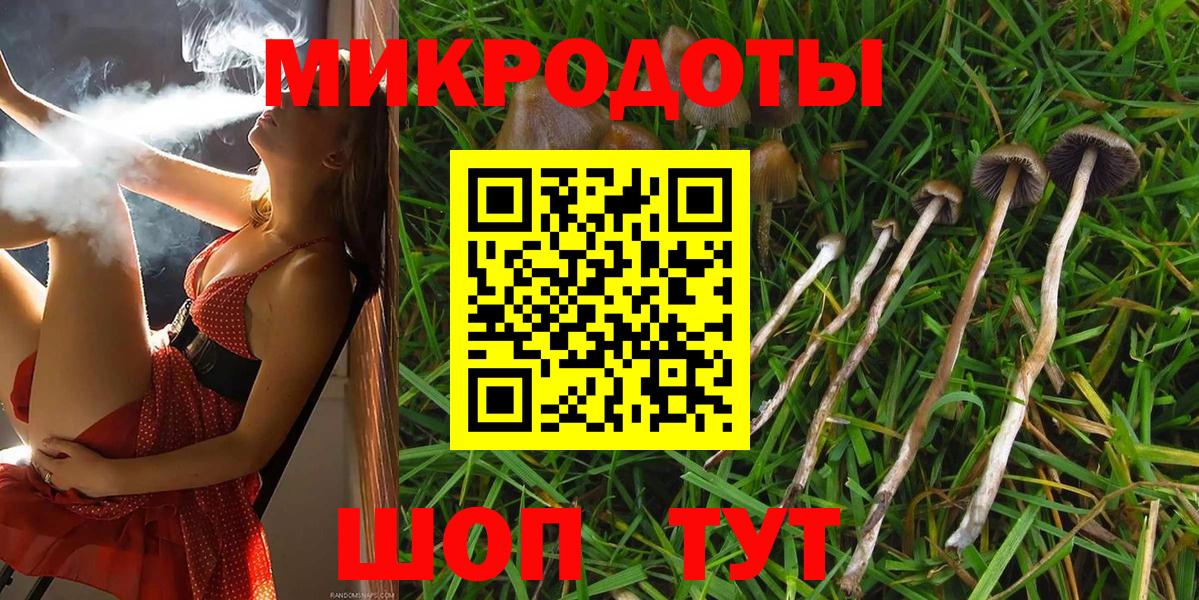 Псилоцибиновые грибы Psilocybine cubensis Сунжа
